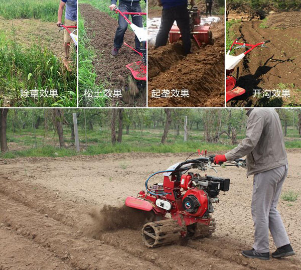 開(kāi)溝培土機(jī)在大蔥，大姜，土豆，果園中的應(yīng)用
